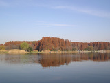 5e3a465d.jpg