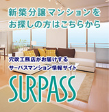 61d701a3.jpg