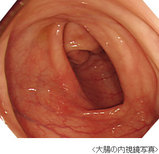 7c9dba86.jpg