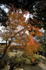845a9ab3.jpg