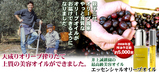 a05531df.jpg