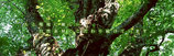 c7847b16.jpg