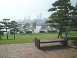 f6543a6e.jpg