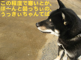 BlogPaint
