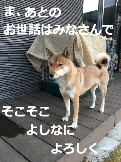 BlogPaint