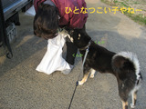 BlogPaint