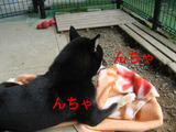 BlogPaint