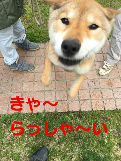 BlogPaint