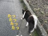 BlogPaint
