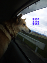 BlogPaint