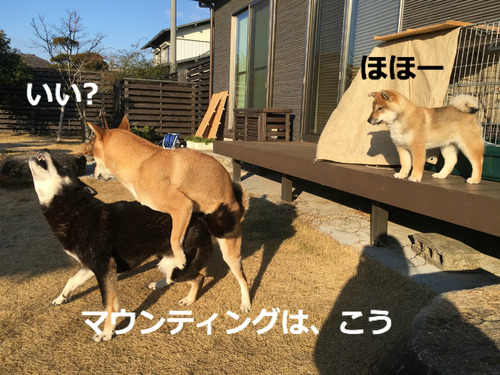 BlogPaint