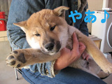 BlogPaint