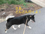 BlogPaint