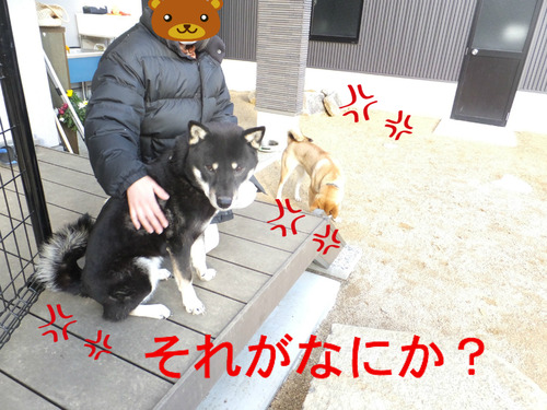 BlogPaint