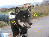 BlogPaint