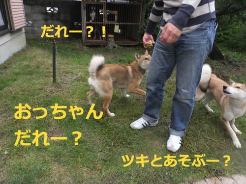 BlogPaint