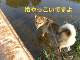 BlogPaint