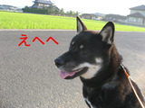 BlogPaint
