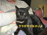 BlogPaint