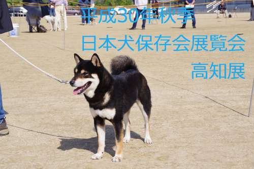BlogPaint