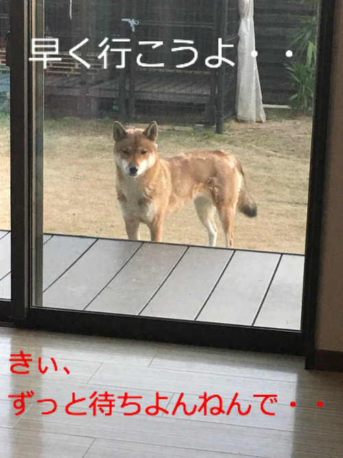 BlogPaint