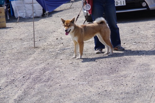 IMGP0038
