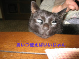 BlogPaint