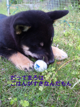 BlogPaint