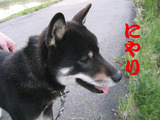 BlogPaint