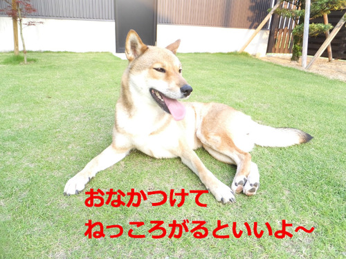 BlogPaint