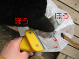 BlogPaint