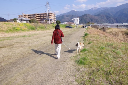 IMGP0062 (1)