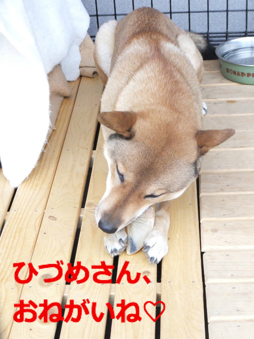 BlogPaint