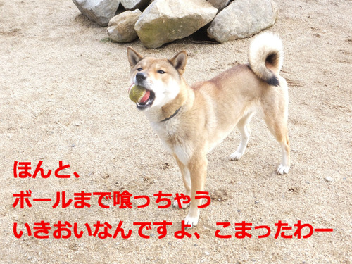 BlogPaint