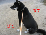 BlogPaint