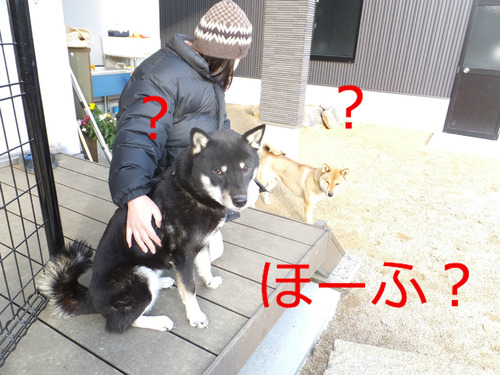 BlogPaint