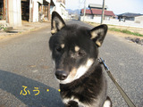 BlogPaint