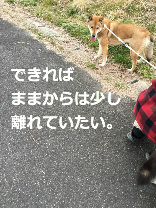 BlogPaint