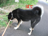 BlogPaint