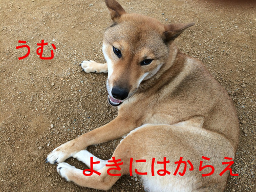 BlogPaint