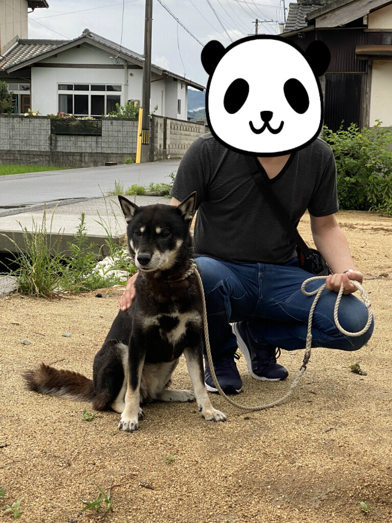 行ったり来たり 黒四つ四国犬 まろの日々 行ったり来たり 黒四つ四国犬 まろの日々
