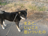 BlogPaint