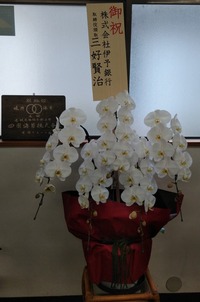 100周年お祝い