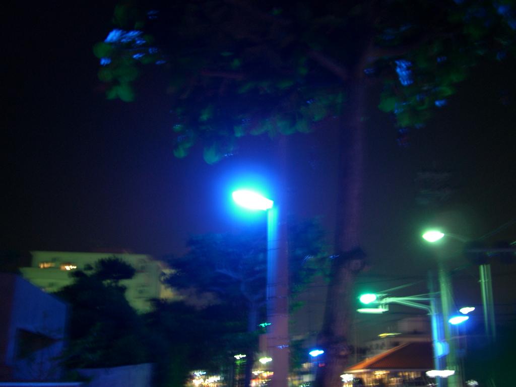 青の光 Tropical Blog