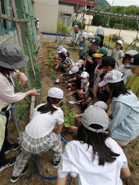 e1bab028-0658-4879-990a-c3cba5f7e632