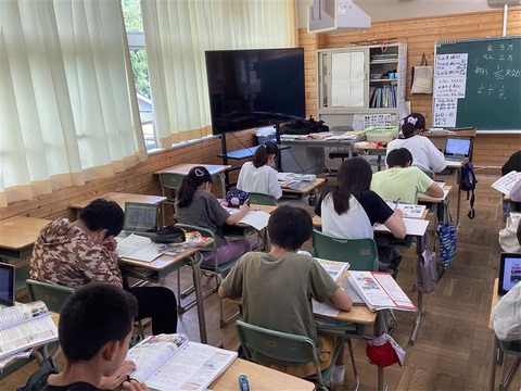 6d13d5d4-3c95-43ec-87b5-4685453f065a