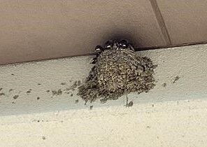 3317699b-606f-4a0b-9116-138f671a11f8