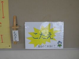 CIMG4395