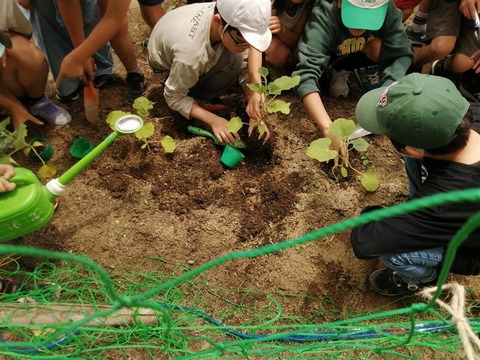 76f1e689-a0e4-484d-8029-2e5e23fb0f1b