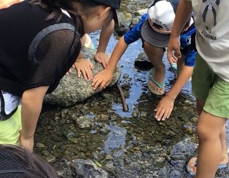 水無瀬川